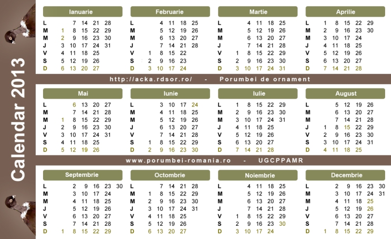 Calendar 2013 cu Gat Golas