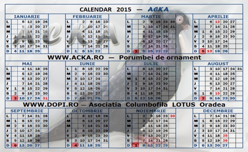 Calendar 2015 Acka