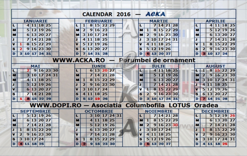 Calendar 2016 cu galatean