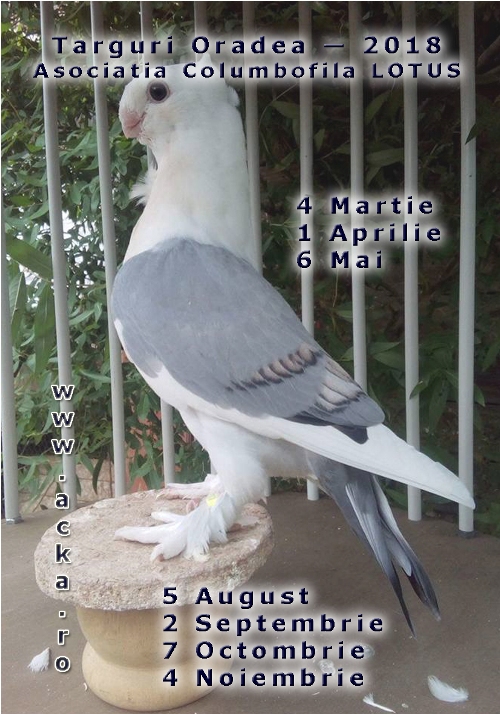 Calendar 2018 cu targuri Oradea